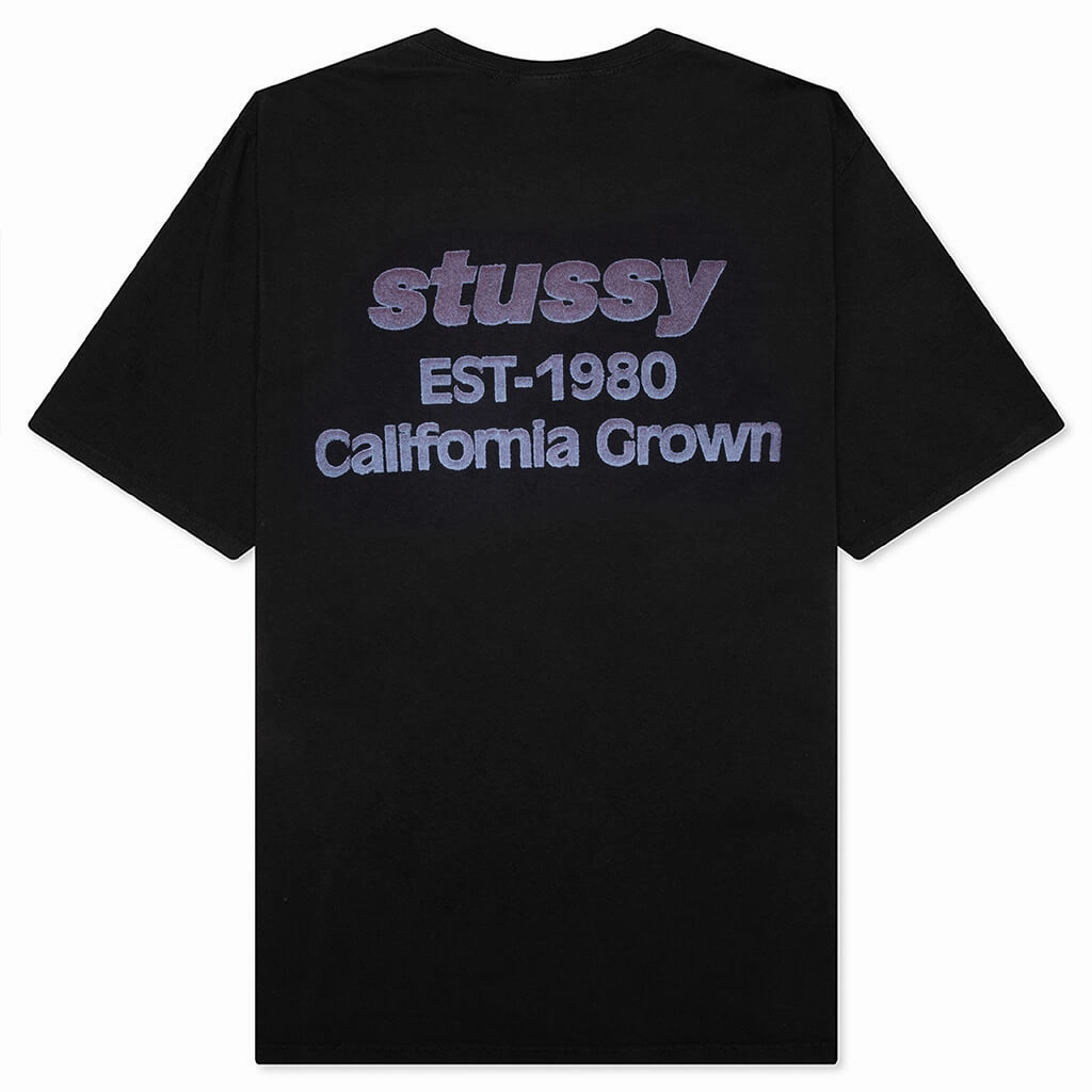 California Grown Pigment Dyed Tee - Black