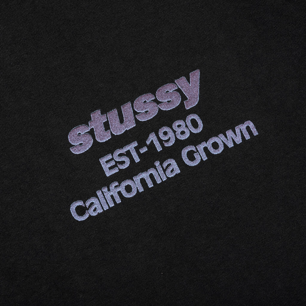 California Grown Pigment Dyed Tee - Black