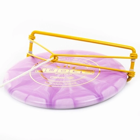Golden Retriever Disc Retriever